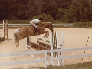 Horse jumping